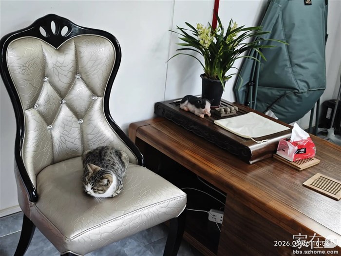 这只村子里的流浪猫每次遇到母女俩散步就趁，今天竟然跟着回来，虽然很乖巧但无耐没条件收养他，只能很不舍的把他请走。