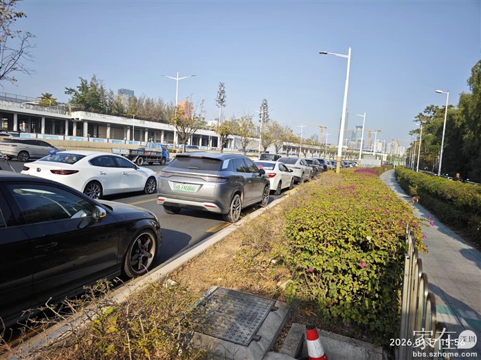 深圳的叔叔真好，节假日会开放滨海大道一侧让停车。