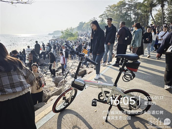 果真是半个中国的人都来到这里看海鸥了