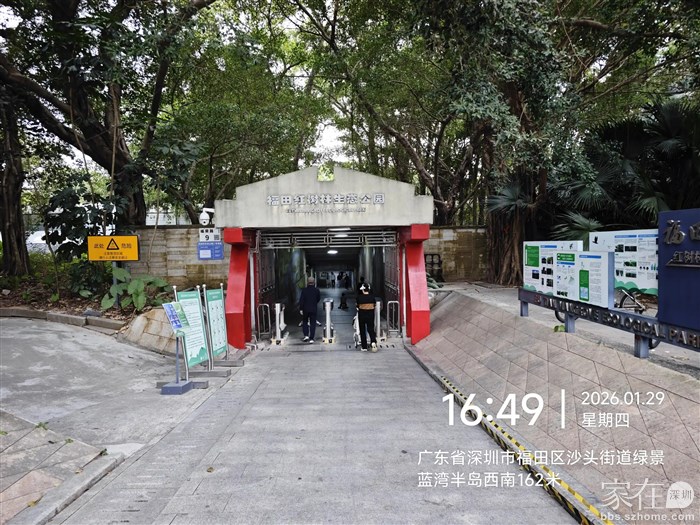 走过红树林公园，如果不是拿着车厘子就先进去走一圈了。