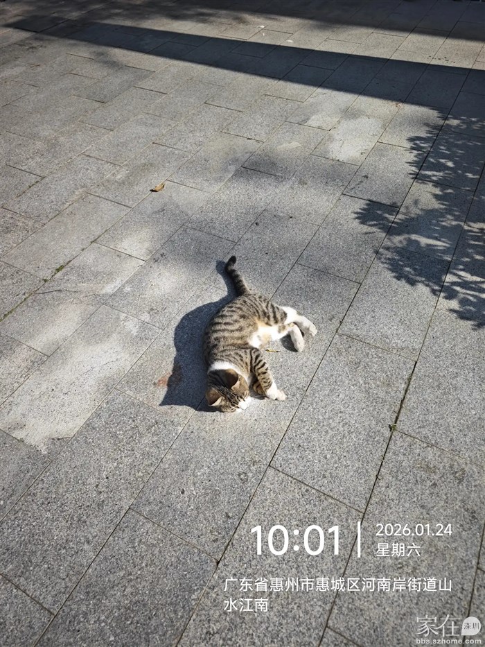 应孩子的要求还特意拍了小虎（孩子对他的称呼）的照片发给孩子。