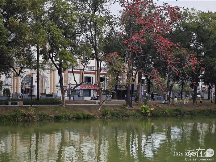 从这里看出去那家停业了的酒楼，好可惜啊。