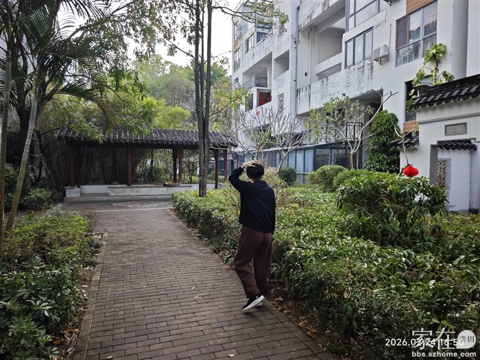 回到惠州第一时间巡视村子找小虎，还真的出来了，领导拍了视频发给女儿可把她高兴的。