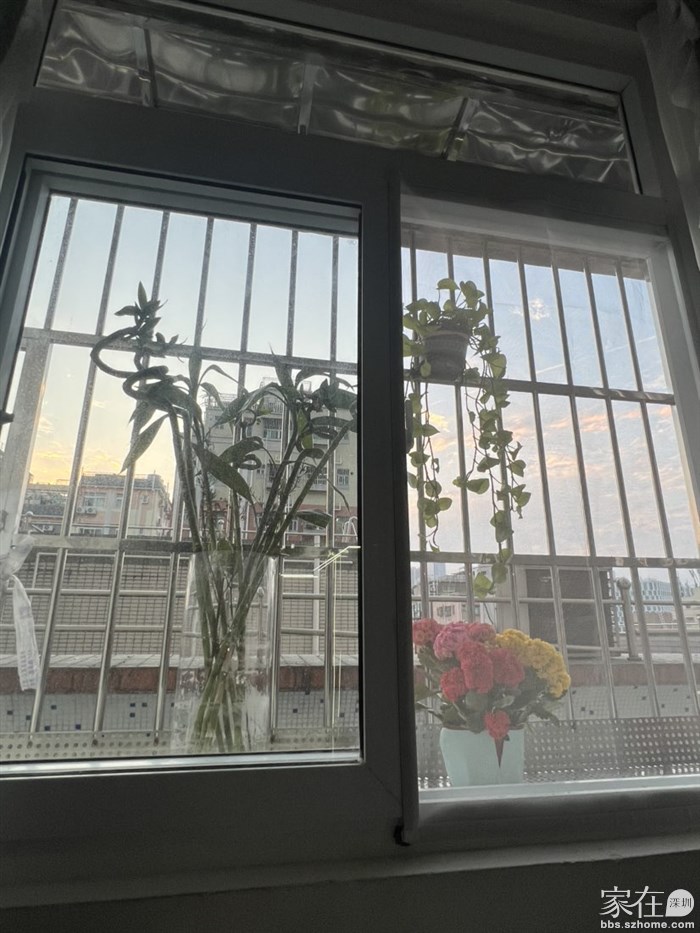 可以闲坐沙发发呆看看蓝天白云