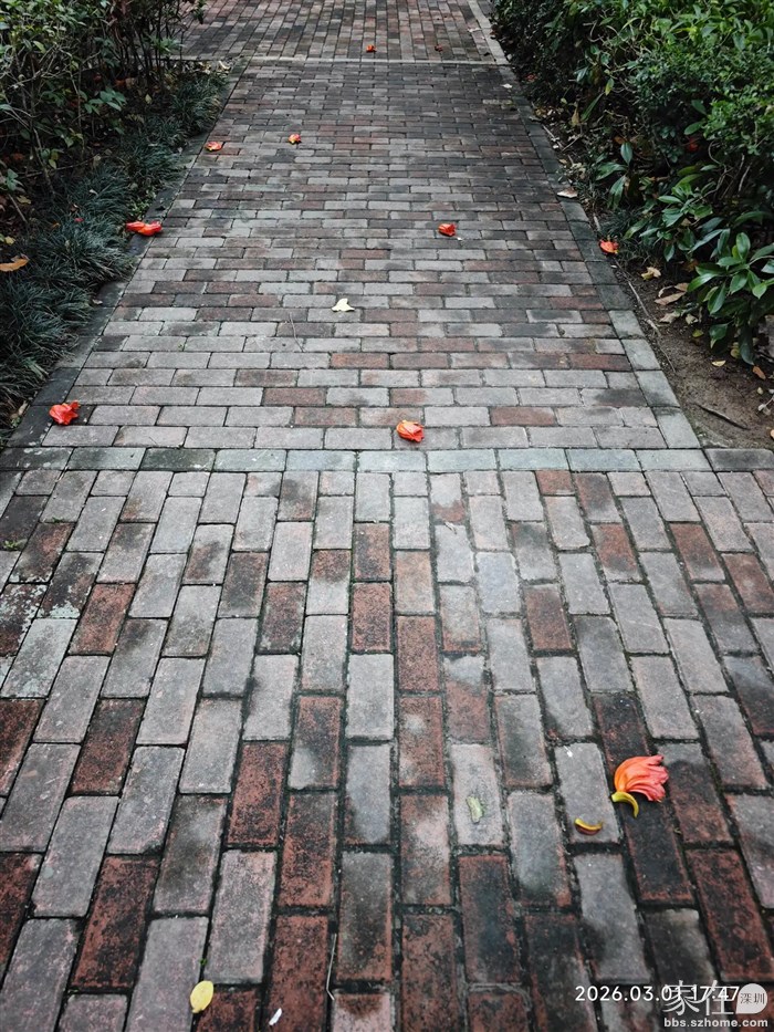 回到来又是满地红花