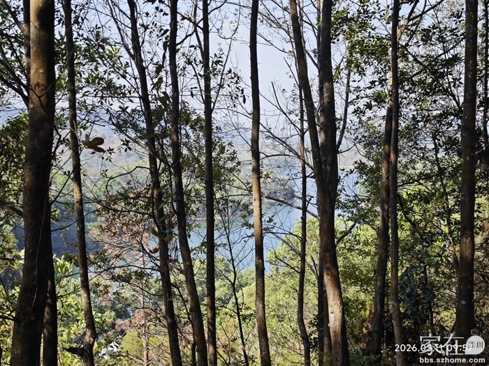 山脚下的红花湖