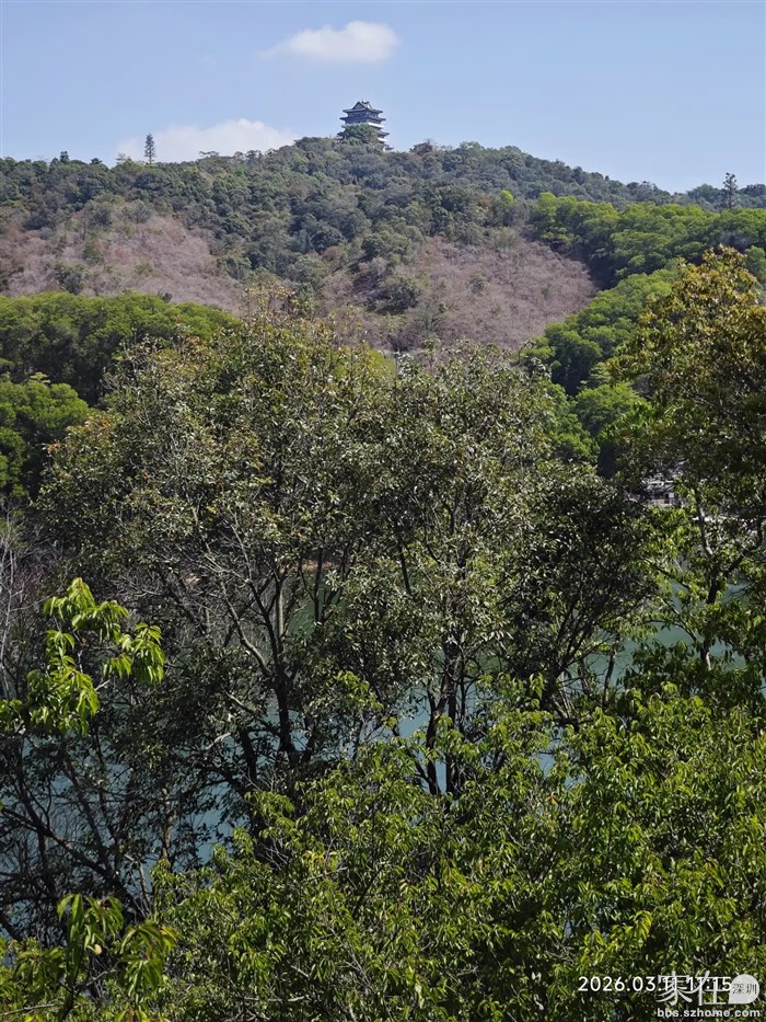 在桃花岛远望刚刚才上去过的金榜阁