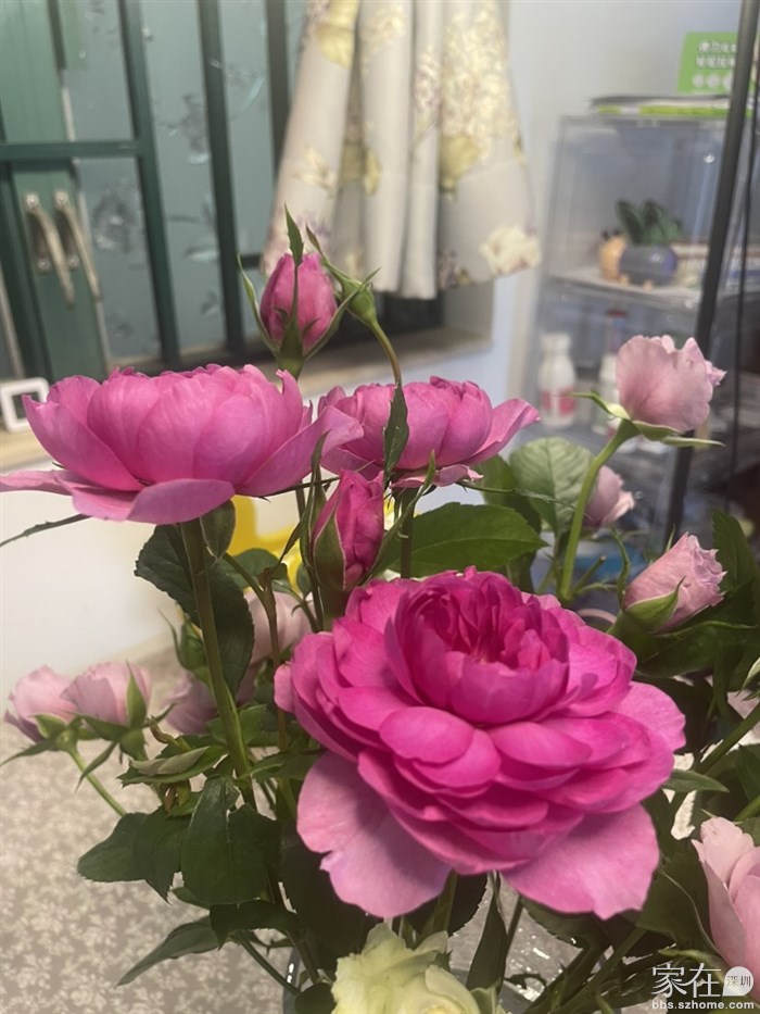 我的名字是“熏”，香味让人沉醉