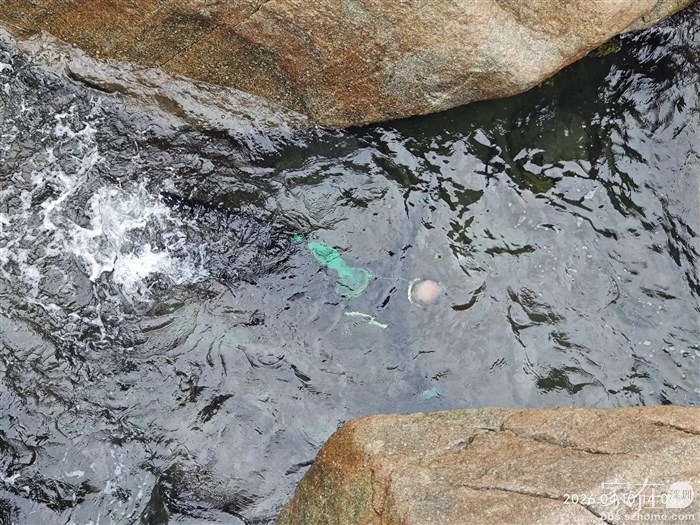 这里有人穿潜水装备捞海鲜