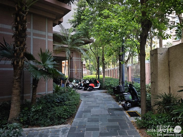 现在小区里的汽车都基本没人开，可是电鸡车越来越多，因为停车不便他们平时都用电鸡车，只在节假日要出远门的时候才会开车。