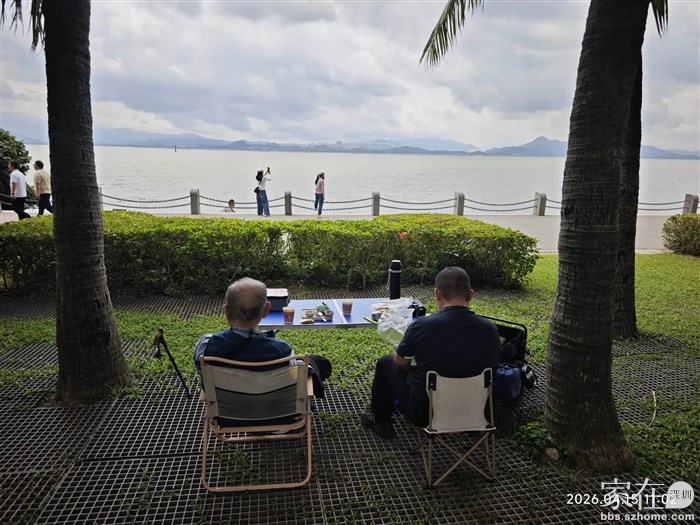 这个时候在树荫底下呆着还是可以的，再过一个月应该就不行了，反正夏季的时候，一个天热，一个小咬多，我是坐不住的。