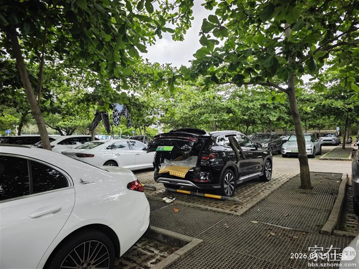 停车场的房车清走了还有床车