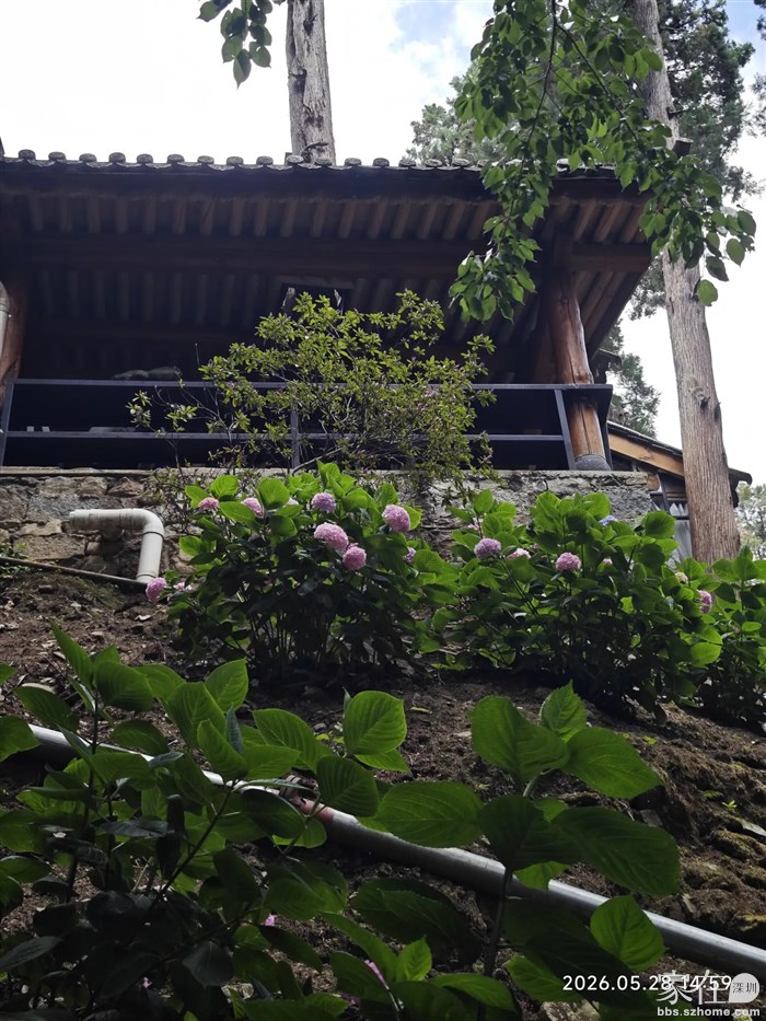 就在这里斗松鼠