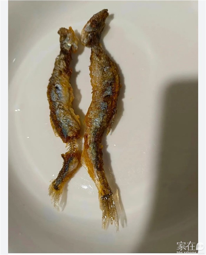 游鱼之殇 曾经江湖泛清波，一朝不慎进油锅。 ?掏心摘肺空脏器，油煎火烤上餐桌。 ?悔因好奇网中游，愧为诱饵误上钩。 来生教训须谨记，人间无处不阴谋！  ?