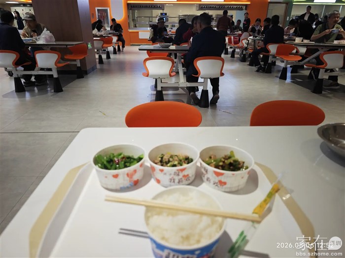 19元的中餐