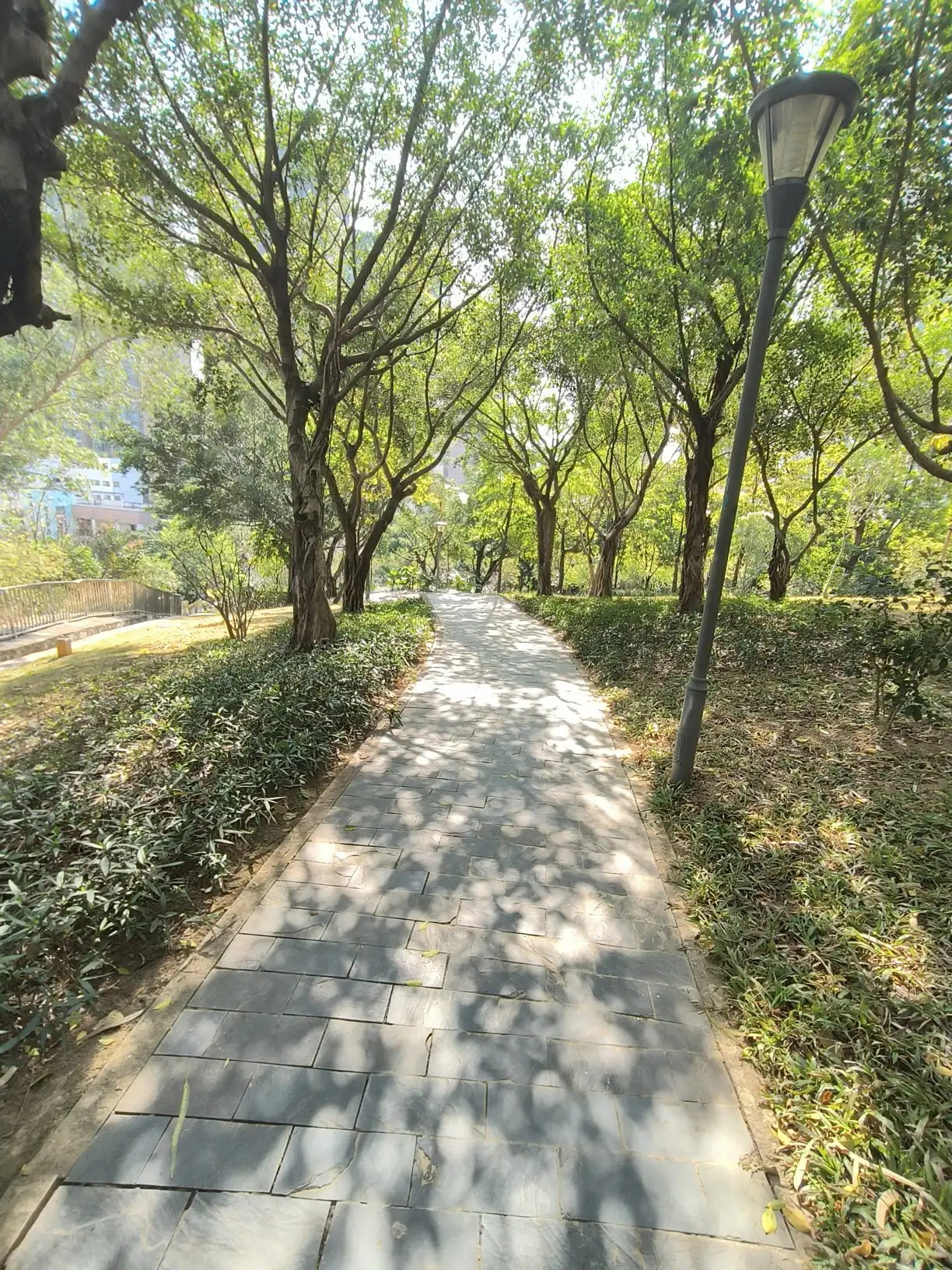 【携程攻略】深圳龙城公园景点,龙岗中心城最早的公园人气也最旺，早晚都有很多人在公园休闲锻炼，湖…