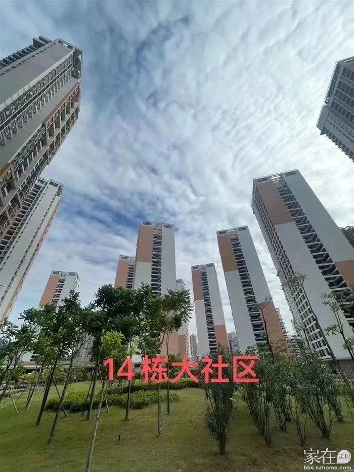 光明凤凰城科裕新村红坳新居科学城安置房大型居住社区详情联系